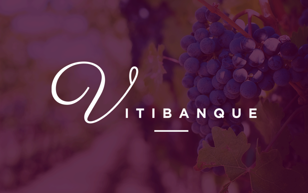 Vitibanque souhaite une bonne Saint-Vincent à la filière viticole